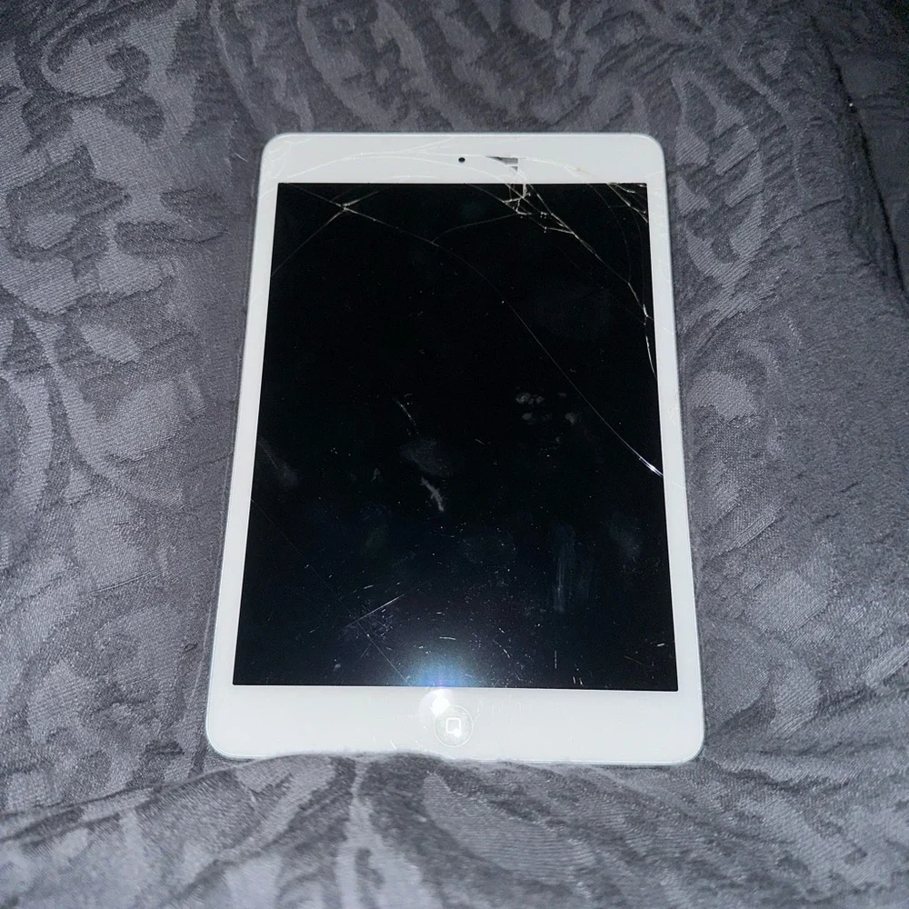 iPad Mini 2